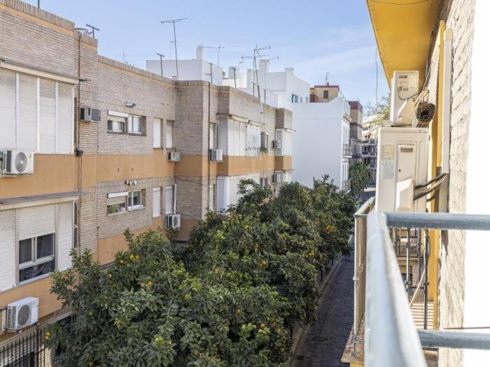 Pureza Dreams De Sevilla Oasis En Triana 外观 照片